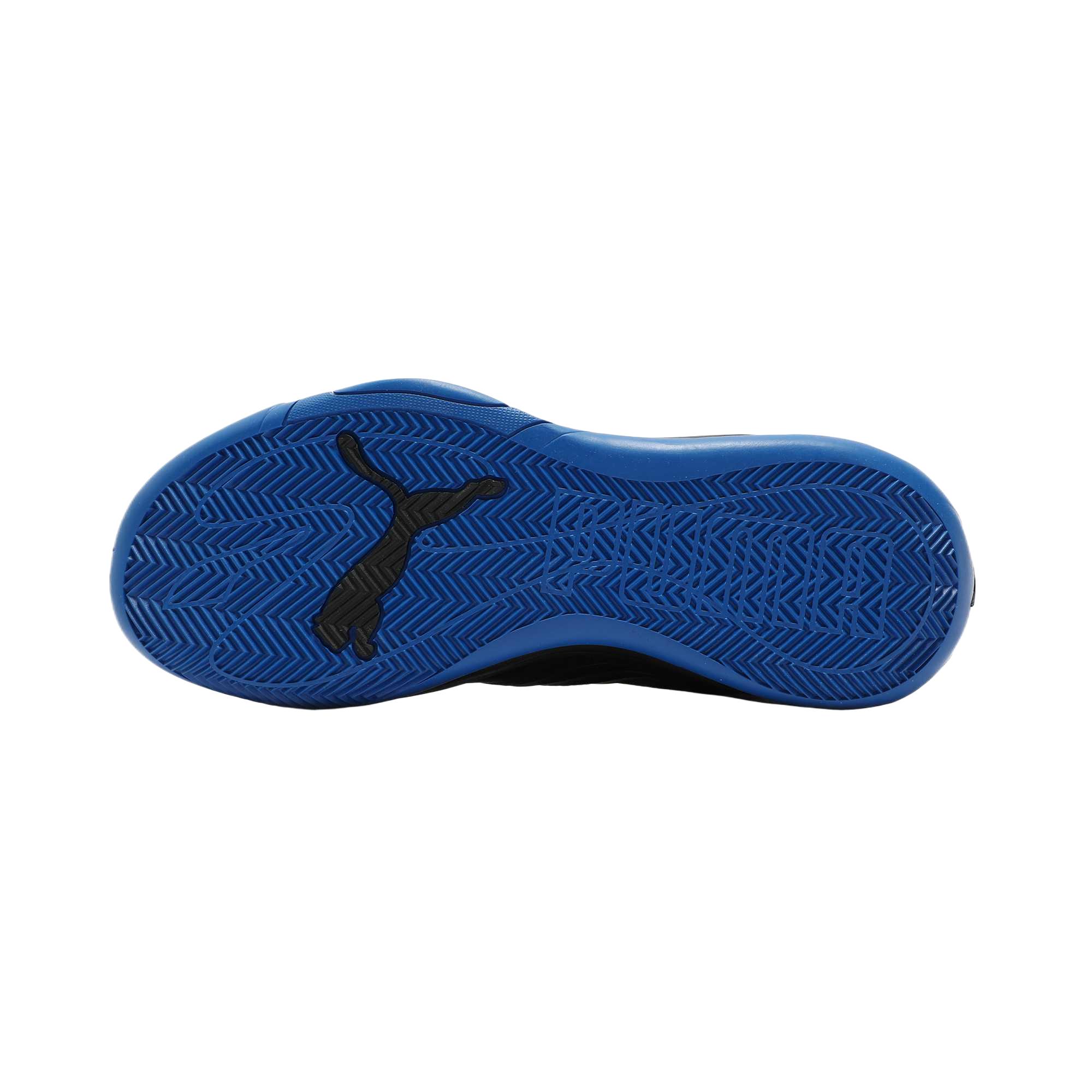 Shop Puma Court Pro ''Schwarz Team Royal'' 310829-08
