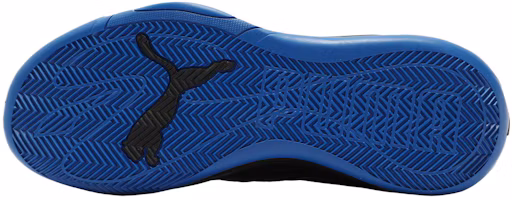 Purchase Puma Court Pro ''Nero Team Royal'' 310829-08