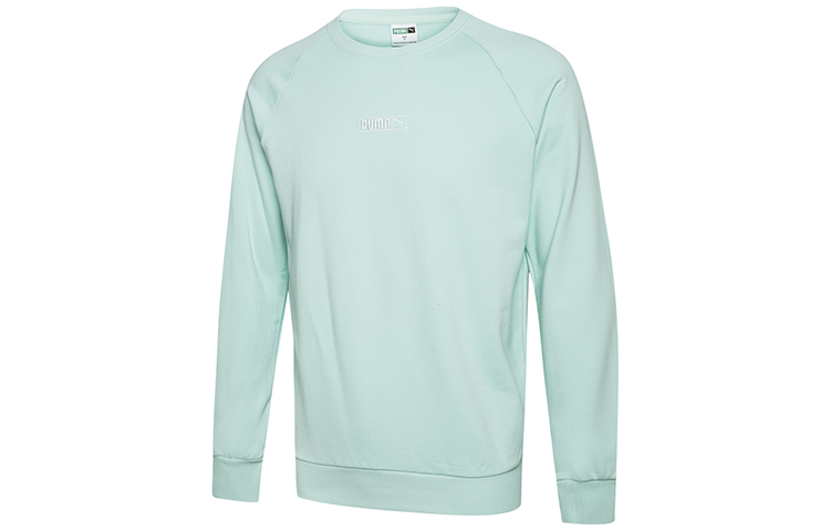 Puma Crewneck Relaxed Fit Sweatshirt Unisex Pastel Green 597358-42