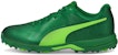 Puma Kriket Rendah 'Hijau' 106469-02