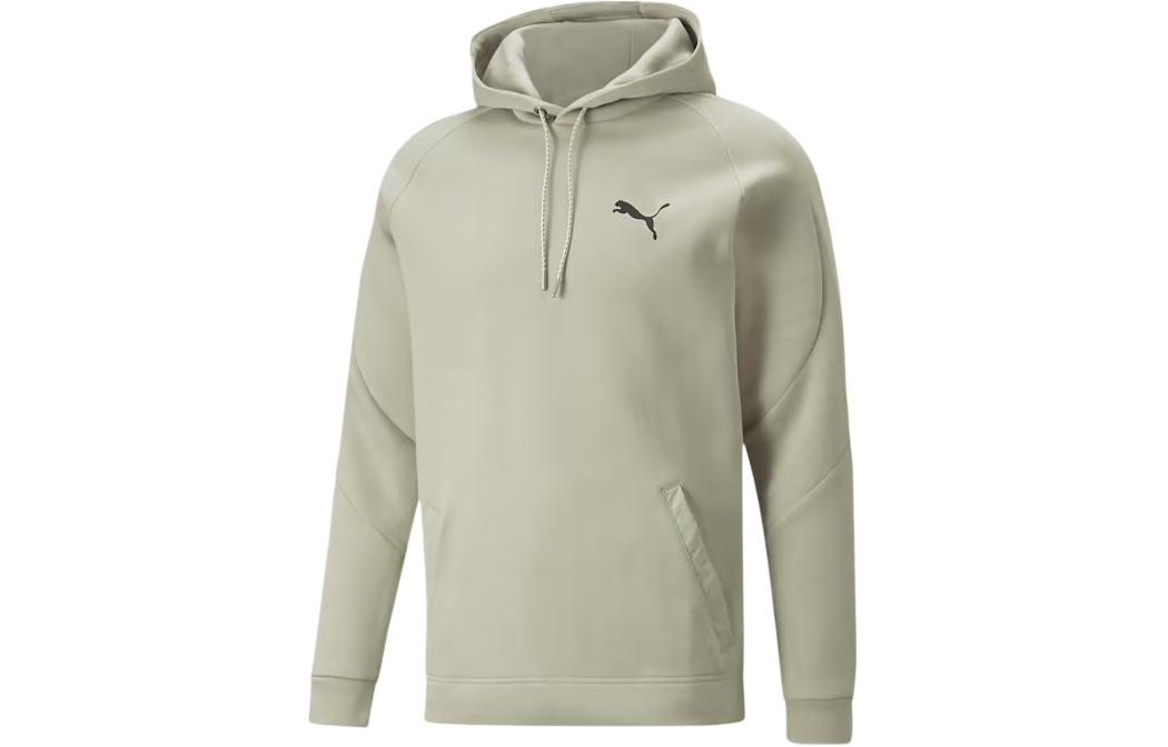 Puma Day In Motion Logo Hoodie Beige Long Sleeve Sweatshirt 671102-68