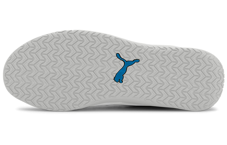 Purchase Puma DC Future Scarpe da Ginnastica Grigio/Blu 373022-03
