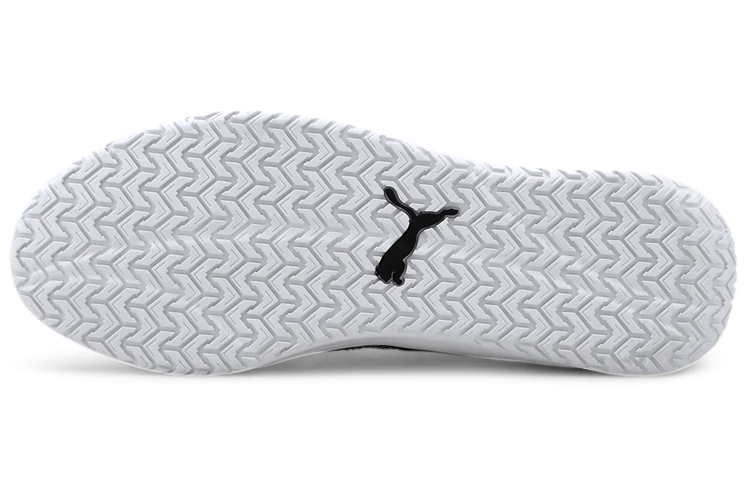 Purchase Puma DC Past Sneakers Zwart 373021-01