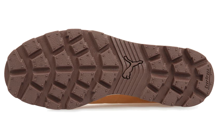 Details for Botas Puma Desierto Fun Mid-High Marrón/Morado 361192-06