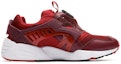 Order Puma Disc Blaze 'Rojo Vino' 359516-01