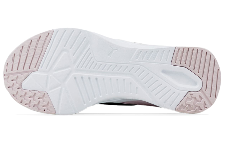 Purchase Puma Disperse XT 2 ''Asfalto Lavender Fog'' 376061-05