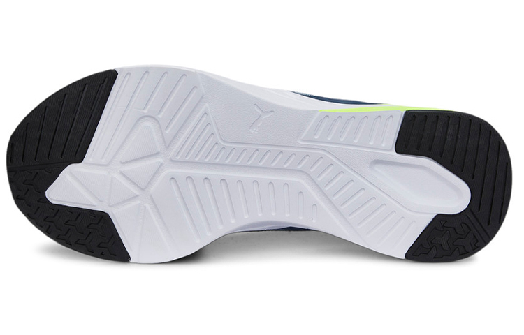 Details for Puma Disperse XT 2 ''Bleu Vert Blanc'' 376061-11