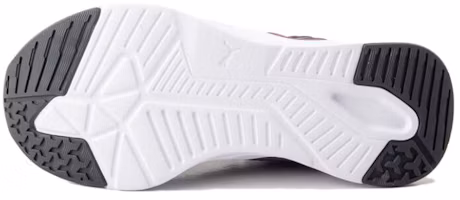 Shop Puma Disperse XT 2 Mesh 'Dusty Plum' 376858-08