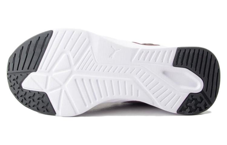 Shop プーマ ディスパースXT 2 メッシュ "ダスティー プラム" 376858-08