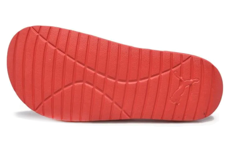 Shop Puma Divecat V2 'Merah High Risk' 369400-14