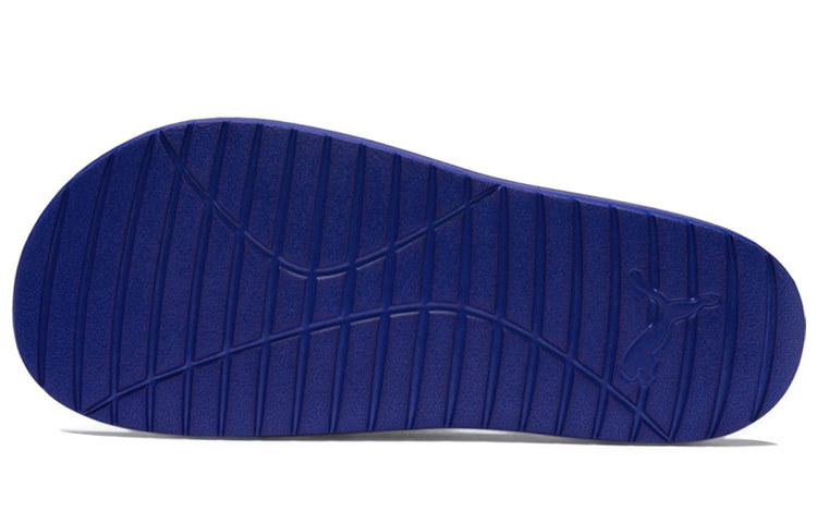 Purchase Sandal Puma Divecat V2 'Biru' 369400-03
