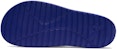Sandal Puma Divecat V2 'Biru' 369400-03