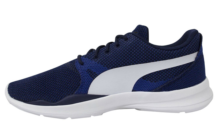 Puma Duplex Evo Shoes Blue 362043-03