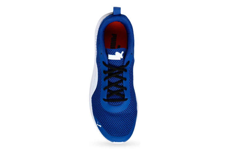 Lookbook Puma Echelon V1 IDP ''Atmungsaktiv Stoßdämpfend Low-Top Laufschuhe Blau Weiß'' 368391-01