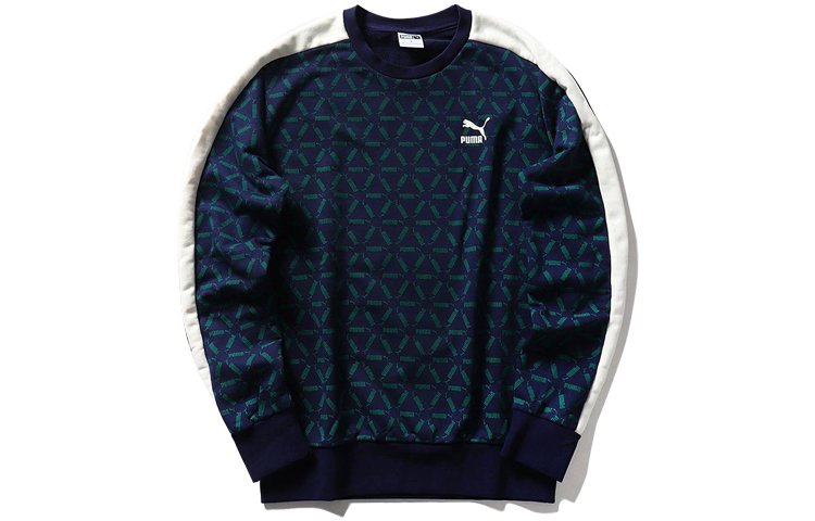 Puma ECOMM Graphic Crewneck Sweatshirt Unisex Blue 579707-02