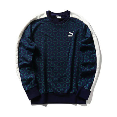 Puma ECOMM Graphic Crewneck Sweatshirt Unisex Blue 579707-02