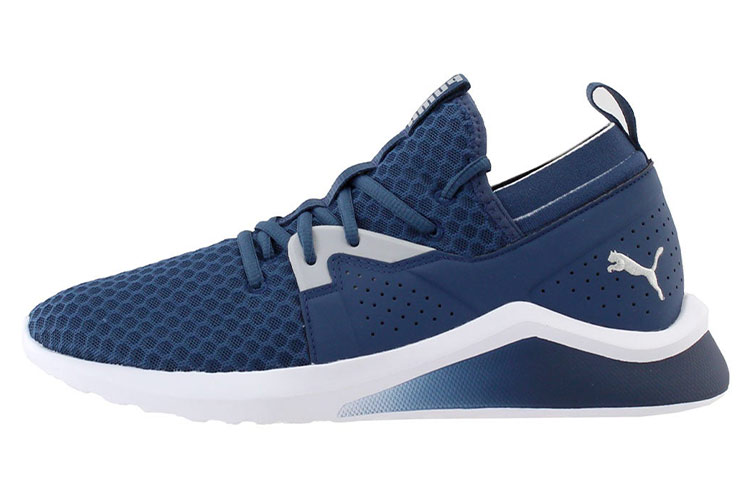 Puma Emergence Fade 'Blue Low-Top Running' 193094-02