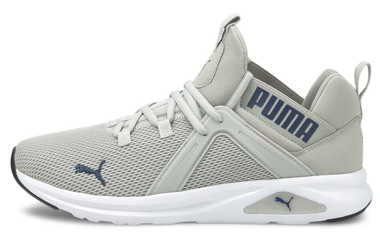 Puma Enzo 2 'Grey Low-Top' 193249-17
