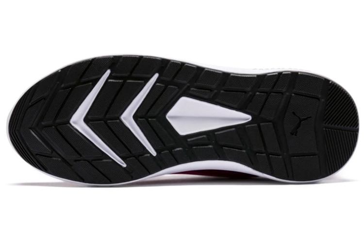 Purchase Puma Escaper Pro ''Rose'' 364259-15