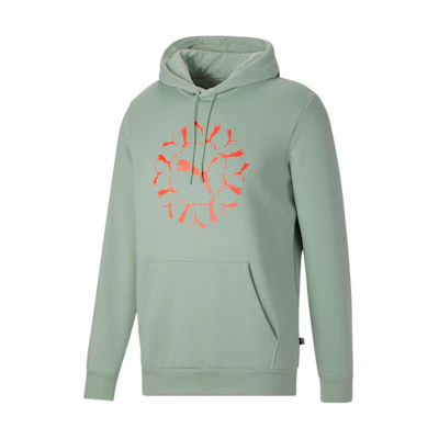 Puma ESS+ Graphic Hoodie Green Mist Logo Pullover Long Sleeve Sweatshirt 678069-54