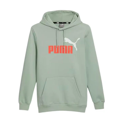 Puma Essentials Hoodie Pullover Sweatshirt Mist Green 846849-55