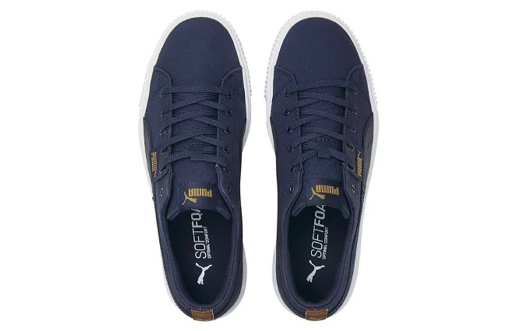 Lookbook Puma Ever Fs Full Cvs Casual Skateboarding Shoes Unisex Blue 387280-01
