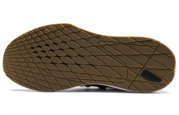 Shop Puma Evo Cat 2 Red Bull Gris 306188-02