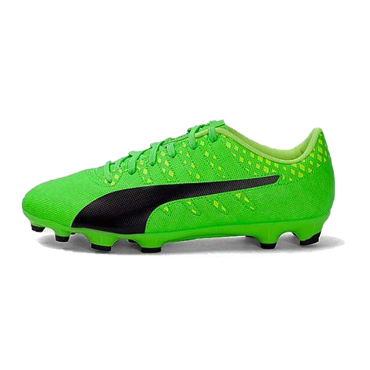 Puma Evo Power Vigor 1 'Green Black' 103825-01