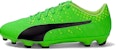 Puma Evo Power Vigor 1 'Green Black' 103825-01
