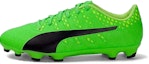 Buy Puma Evo Power Vigor 1 'Green Black' 103825-01