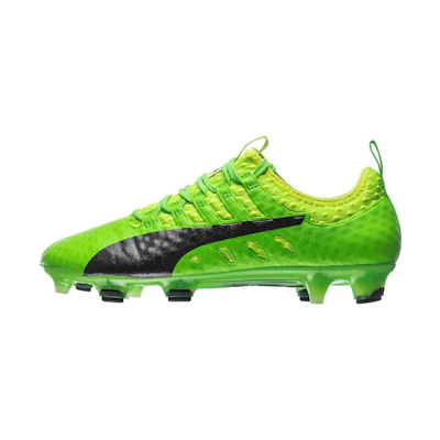 Puma Evo Power Vigor 1 FG 'Green Black'