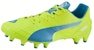Puma Evo Speed 1.4 FG 'Hijau Biru' 103264-04