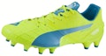 Buy Puma Evo Speed 1.4 FG 'Hijau Biru' 103264-04