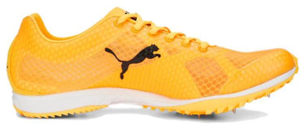 푸마 evoSPEED '옐로우' (Puma evoSPEED 'Yellow') 377007-01 Order 푸마 evoSPEED '옐로우' (Puma evoSPEED 'Yellow') 377007-01