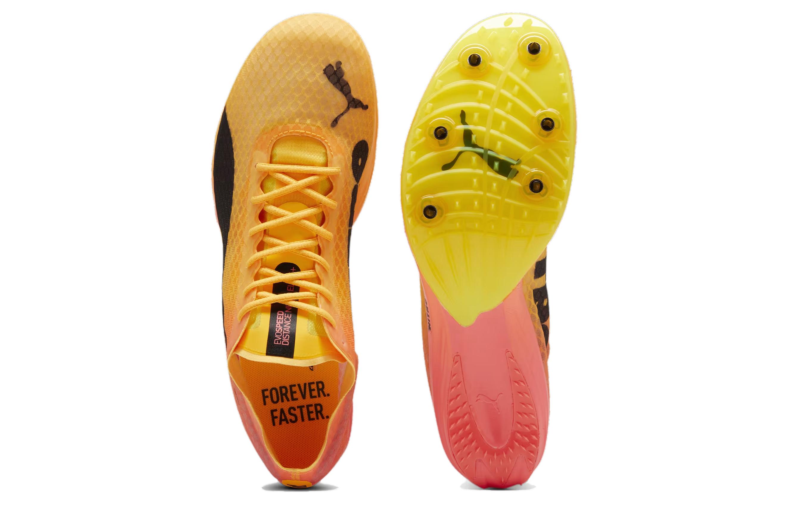 Shop Puma EvoSPEED Distance NITRO Elite+ 4 钉鞋 ‘橙色黑色’ 380000-01