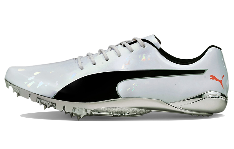 Puma evoSPEED Electric 10 'Grey' 194475-01