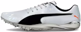 Buy Puma evoSPEED Electric 10 'Kelabu' 194475-01