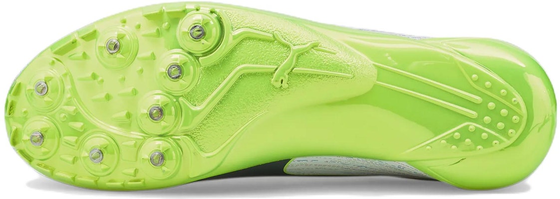 Puma Evospeed Electric 12 376321-01 Purchase Puma Evospeed Electric 12 376321-01