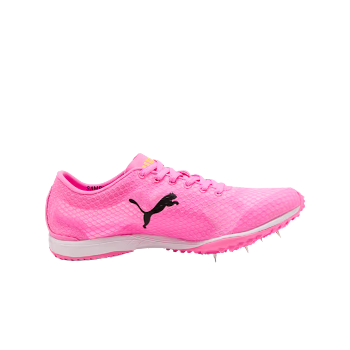 Order Puma Evospeed Haraka 8 'Poison Pink' 313591-02