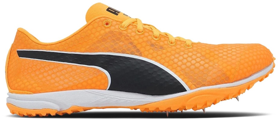 Puma Evospeed Haraka 8 'Sun Stream Black White' 313591-01 Buy Puma Evospeed Haraka 8 'Sun Stream Black White' 313591-01