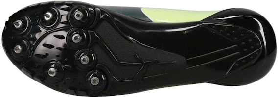 Purchase 彪馬 Evospeed Prep Sprint 2 防滑耐磨 跑步鞋 綠色