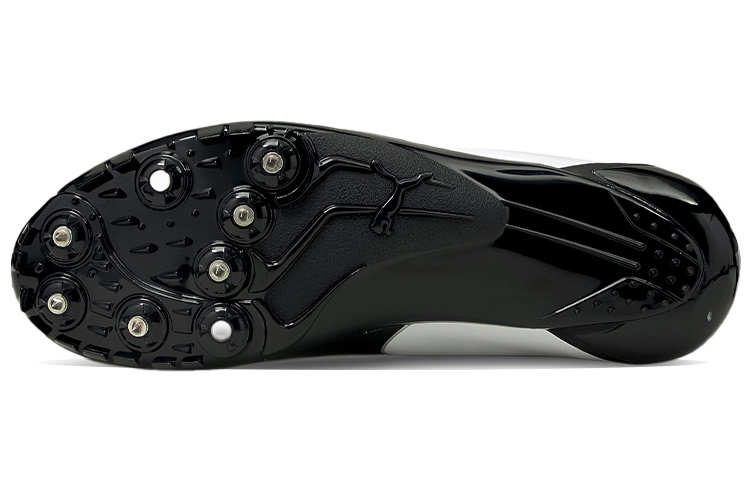 Details for Puma EvoSPEED Prep Sprint 2 ''Blanc Noir'' 194934-01