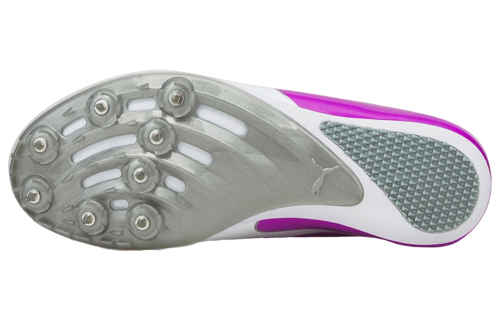 Details for Puma evoSpeed Sprint 10 ''Orchidée Profonde Blanc'' 193452-05