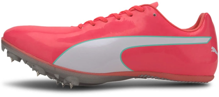 Puma evoSpeed Sprint 10 'Ignite Rosa' 193452-02 Buy Puma evoSpeed Sprint 10 'Ignite Rosa' 193452-02