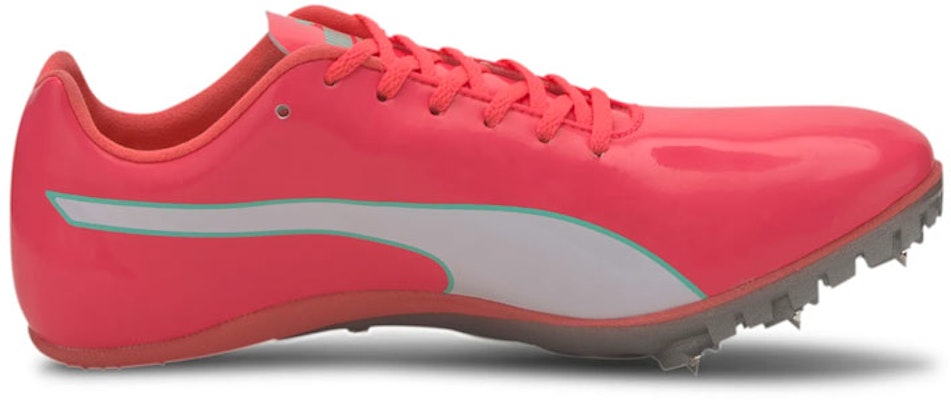 Puma evoSpeed Sprint 10 'Ignite Rosa' 193452-02 Order Puma evoSpeed Sprint 10 'Ignite Rosa' 193452-02