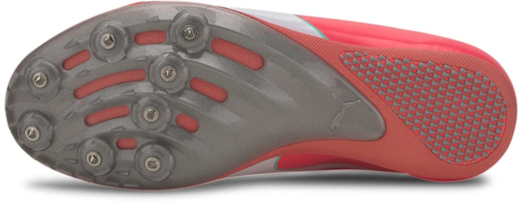 Puma evoSpeed Sprint 10 'Ignite Rosa' 193452-02 Purchase Puma evoSpeed Sprint 10 'Ignite Rosa' 193452-02