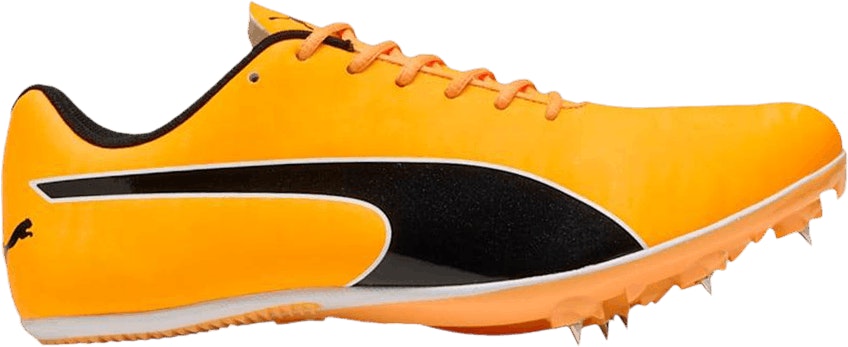 puma-evo-speed-sprint-14-5-sun-stream-black-311872-01