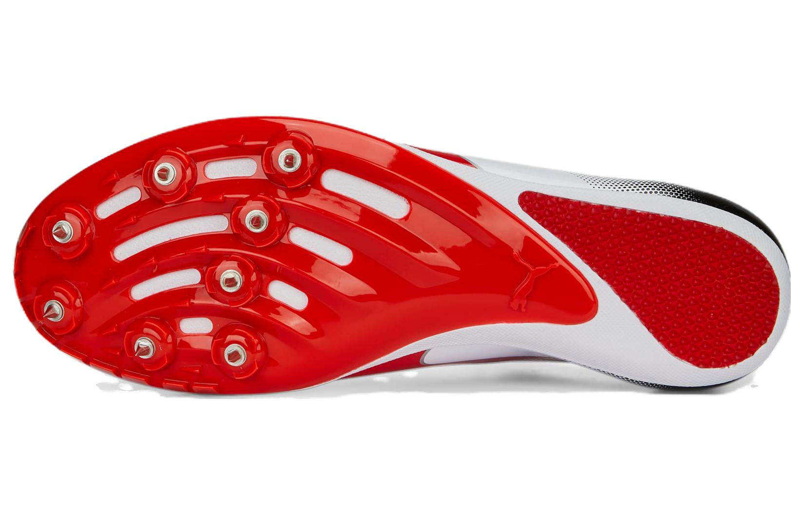 Sizing PUMA Evospeed Sprint 14 舒適 耐磨透氣 低筒 跑步鞋 男女款 白色