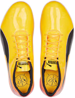 Shop Puma evoSpeed Sprint 14 'Sun Stream Sunset Glow' 377001-01 (日溪暮彩)