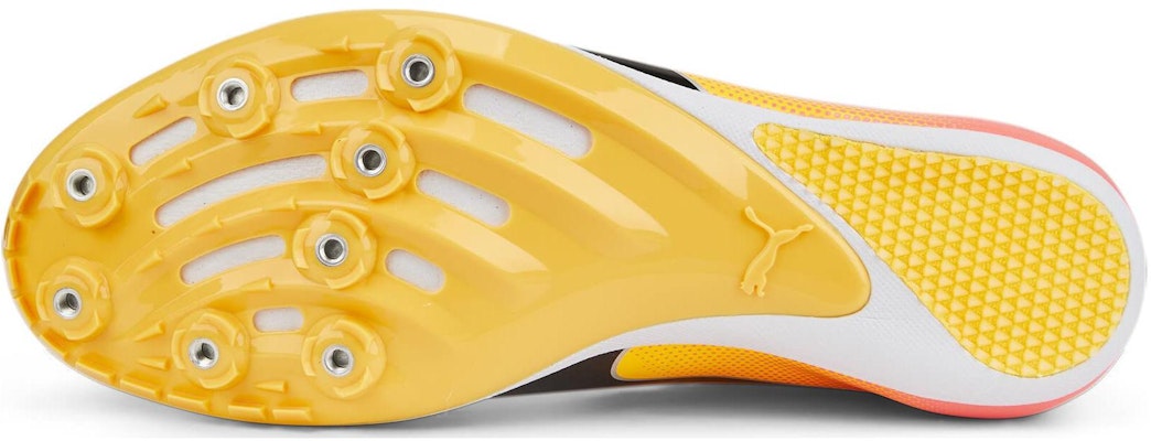 彪马evoSpeed Sprint 14 '日流落日辉光' 377001-01 Purchase 彪马evoSpeed Sprint 14 '日流落日辉光' 377001-01